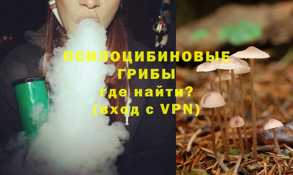 МДПВ Арсеньев
